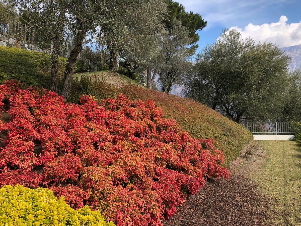 Villa Dei Sogni Bellagio Dış mekan fotoğraf